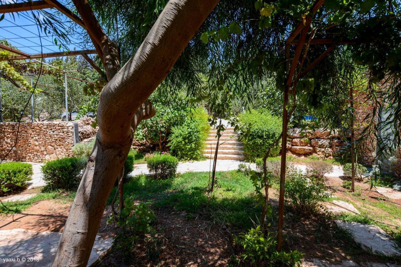 Tur Sinai Organic Farm Resort Иерусалим Экстерьер фото